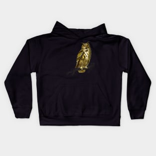 Vintage bubo bubo bird-animalia Kids Hoodie